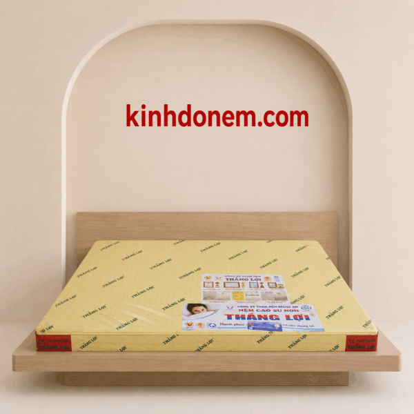 Nệm cao su non Thắng Lợi chính hãng đàn hồi êm ái, hỗ trợ giấc ngủ thoải mái