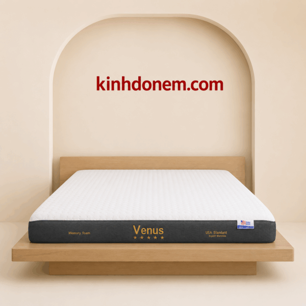 Nệm Foam Xuất Khẩu Venus Việt Mỹ cao cấp hỗ trợ nâng đỡ cơ thể
