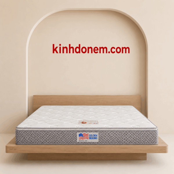 Nệm lò xo túi American Việt Mỹ cao cấp nâng đỡ cơ thể êm ái