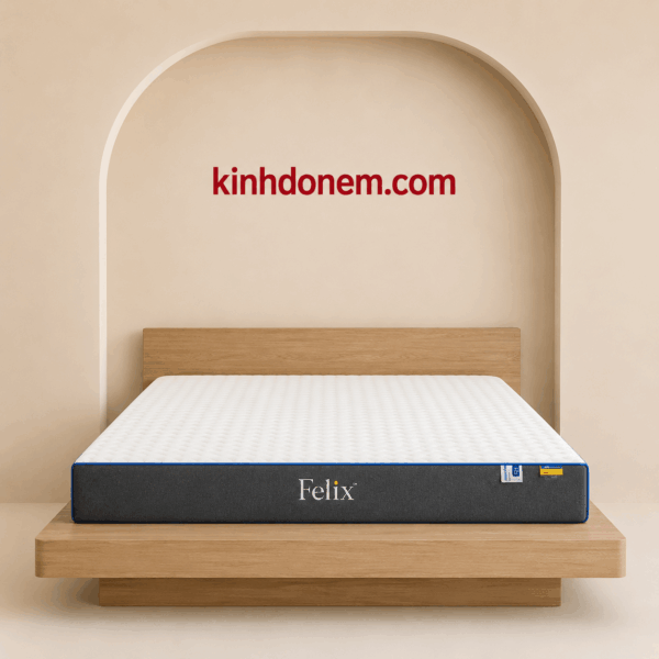 Nệm cao su thiên nhiên Felix than hoạt tính cao cấp thoáng khí khử mùi nâng đỡ cơ thể êm ái