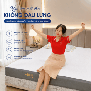Nệm Venus Việt Mỹ, Nệm chuyên dành cho người đau lưng
