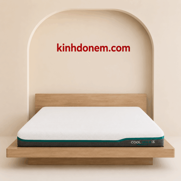 Nệm MemoryFoam CoolMax siêu êm cao cấp thoáng mát nâng đỡ cơ thể và hỗ trợ giấc ngủ thoải mái