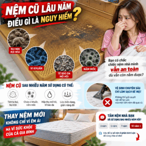 Nệm gia đình cũ dơ bẩn, nên thay mới hay vệ sinh lại